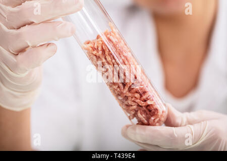 Wissenschaftler Hand in Schutzhandschuh Holding Raw Künstliche gewachsen Fleisch im Labor Reagenzglas Stockfoto