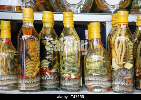 Verboten Souvenir aus Laos Schlange Whiskey, Schlangen in Whiskey Flaschen, Laos, Asien Stockfoto