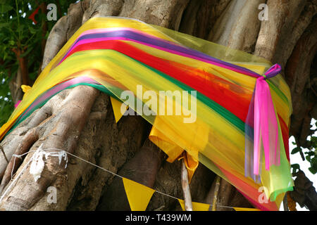 Baum mit bunten Bändern im Tempel Wat Pho in Bangkok, Thailand, Südostasien, Asien eingerichtet Stockfoto