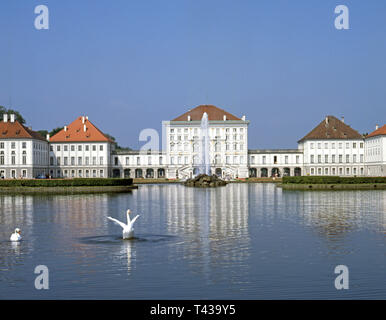 Schwäne im See vor dem Schloss Nymphenburg in München, Nymphenburger Kanals, Bayern, Deutschland, Europa Stockfoto