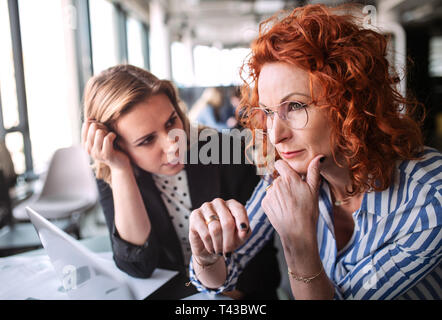 Zwei weibliche Business Leute sitzen in einem Büro, reden. Stockfoto