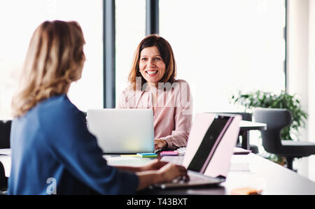 Zwei weibliche Geschäftsleute mit Laptop im Büro, reden. Stockfoto