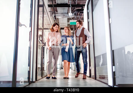 Gruppe von Menschen zu Fuß in einem Bürogebäude, reden. Stockfoto