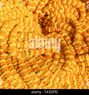 Blick auf den Platz der Ringelblume Girlanden an Mullik Ghat Blumenmarkt in Kalkutta aka Kalkutta, Indien. Stockfoto