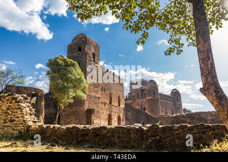 Fasil Ghebbi (Royal Enclosure) mit Bäumen, Gondar Stockfoto