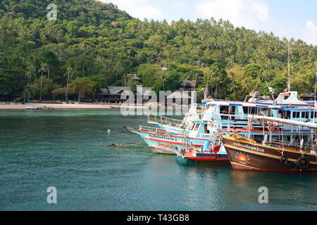 Fischerboote. Mae hatte Bay. Koh Tao. Thailand Stockfoto