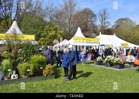 Besucher bewundern die wird an der RHS flower show Cardiff, Cardiff, South Glamorgan, Wales Stockfoto