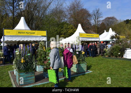 Besucher bewundern die wird an der RHS flower show Cardiff, Cardiff, South Glamorgan, Wales Stockfoto