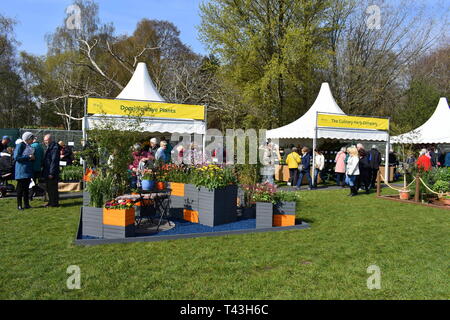 Besucher bewundern die wird an der RHS flower show Cardiff, Cardiff, South Glamorgan, Wales Stockfoto