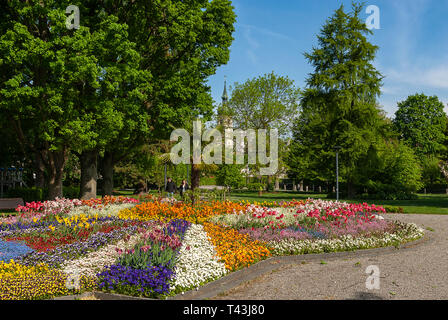 Konstanz am Bodensee, Deutschland: bunte Blumenbeete erfreuen Herz und Seele in der City Garden in der Nähe des Hafens. Stockfoto