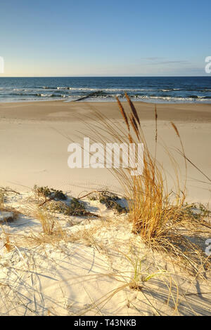 Dünen an der Küste der Ostsee Kolberg, Polen. Stockfoto