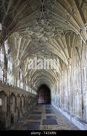 Der Kreuzgang an der Kathedrale von Gloucester, Gloucester, England Stockfoto