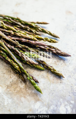 Wilder Spargel auf Metall oberfläche Stockfoto