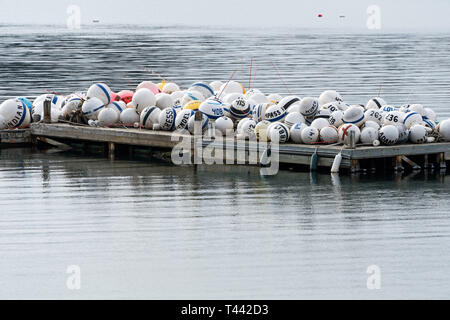 Bojen im Winter an einem Schwimmer in Northeast Harbor, Maine. Stockfoto