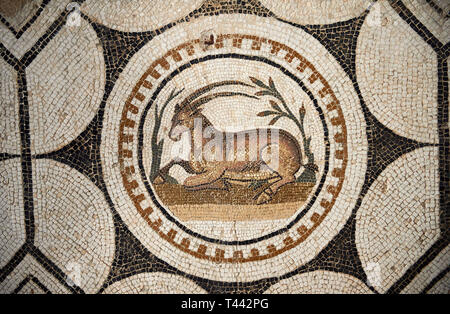 Bild eines römischen Mosaiken Entwurf mit Tieren durch Musik von Orpheus gespielt wird, charmed, von der antiken römischen Stadt Thysdrus, Bir Zid. Stockfoto