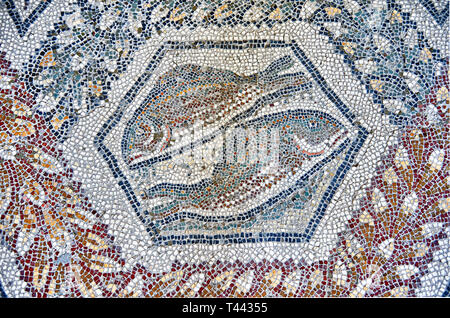 3. Jahrhundert N.CHR. römische Mosaik Panel von zwei Fische von Thugga, Tunesien. Das Bardo Museum, Tunis, Tunesien. Stockfoto