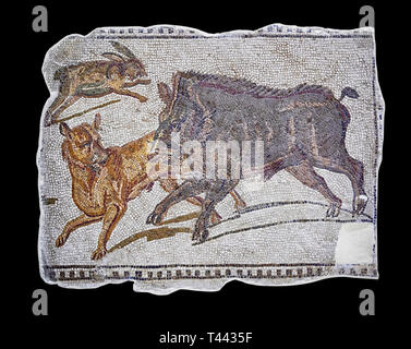 Erste Hälfte des 3. Jahrhunderts AD römische Mosaik Darstellung ein Wildschwein und Hase Jagd. Von Hadrumetum (Sousse), Tunesien. Das Bardo Museum, Tunis, Tunis Stockfoto