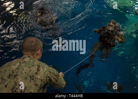 CHARLESTON, S.C. (16. März 2019) Navy Diver 2. Klasse Shane Cleveland hilft Marine Diver 2. Klasse Mitchell LaFave, Mobile Tauchen und Bergung Einheit 2, verlassen Sie den Tank nach einer das South Carolina Aquarium tauchen während Charleston Navy Woche, März 16. Die marine Woche Programm dient als Auftraggeber übertreffen Bemühung der Marine in den Bereichen des Landes ohne eine bedeutende Marine Präsenz. Stockfoto