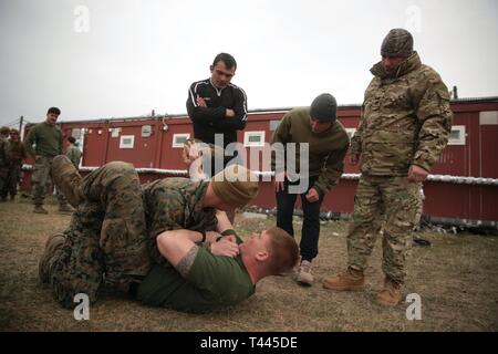 Ein US-Marine mit speziellen Zweck Marine Air-Ground Task Force-Crisis Response-Africa 19.1, Marine Kräfte in Europa und in Afrika, zeigt Marine Corps militärische Kampfkunst Programm Techniken zu Soldaten der 12. der georgischen Armee Infanterie Bataillon während Platin Eagle 19.1, eine multilaterale Übung am Babadag, Rumänien statt, 16. März 2019. SPMAGTF-CR-AF ist eingesetzt Krise - Reaktion und Theater zu leiten - Security Operations in Afrika und die Förderung der regionalen Stabilität durch die Durchführung von militärischen Übungen in ganz Europa und Afrika. Stockfoto