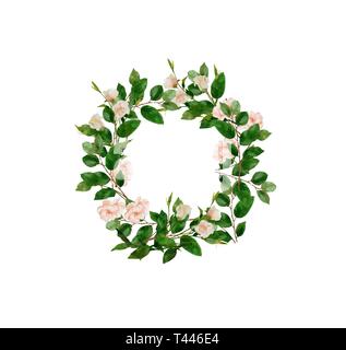 Handgemalten Aquarell blumen Kranz auf weißem Hintergrund. Kranz, Floral frame, Aquarell Blumen, Rosen, Pfingstrosen und Abbildung von Hand gemalt. Stockfoto