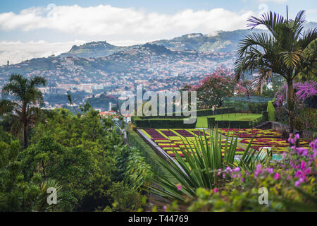 FUNCHAL, PORTUGAL - CA. OKTOBER, 2013: Botanischer Garten Jardim Botanico da Madeira Funchal, Madeira, Portugal Stockfoto