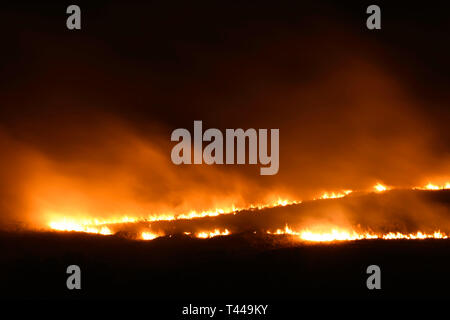 Ausführen von Wildfire Brennen im Feld mit Rauch Stockfoto