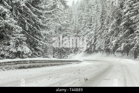 Wald Strasse mit Schnee im Winter blizzard Schneesturm abgedeckt, Bäume auf beiden Seiten. Gefährliche Fahrsituationen Stockfoto