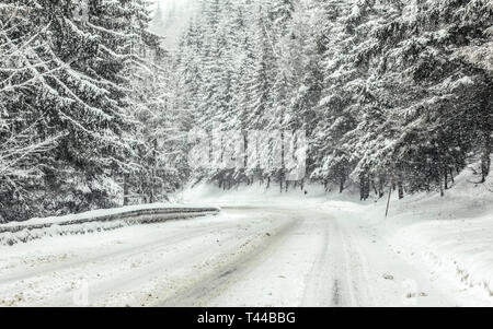 Wald Strasse mit Schnee während Blizzard Schneesturm abgedeckt, Bäume auf beiden Seiten. Gefährliche Fahrsituationen im Winter Stockfoto