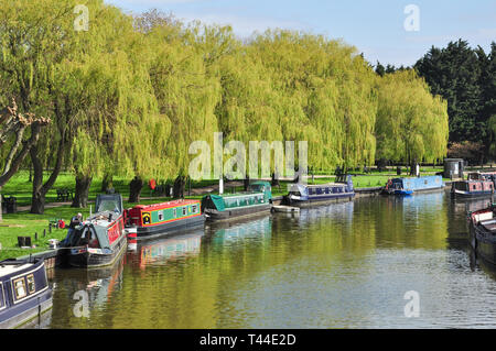 Schmale Boote neben Willow Bäume am Fluss Great Ouse, Ely, Cambridgeshire, England, UK günstig Stockfoto