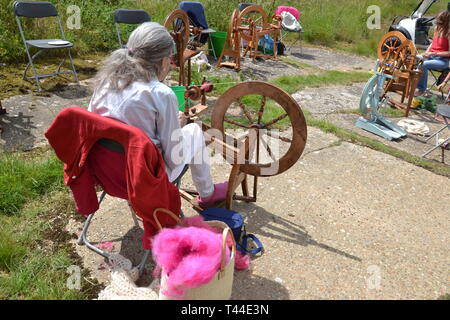 Die Schafe zu Schal Herausforderung in Orford Ness, Suffolk, Großbritannien Stockfoto