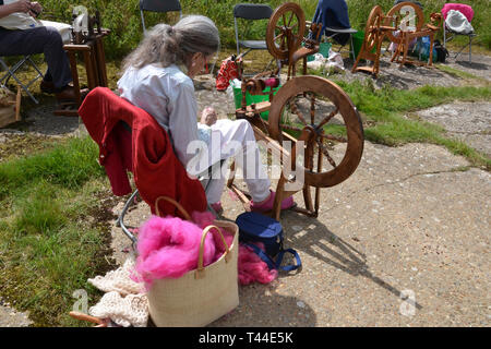 Die Schafe zu Schal Herausforderung in Orford Ness, Suffolk, Großbritannien Stockfoto