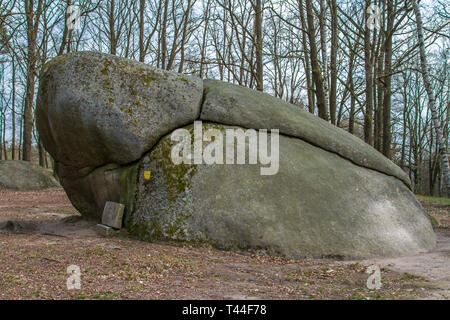 Teufel der Bettstatt - Blockheide, Waldviertel, Österreich Stockfoto