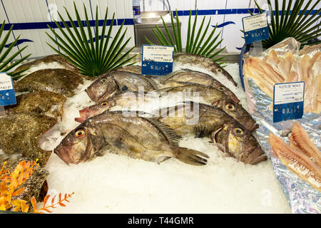 Bergerac, Frankreich - 21 August 2018: frisch gefangenen Fisch wird auf die Ladentheke gelegt. Cherbourg Normandie Frankreich Stockfoto