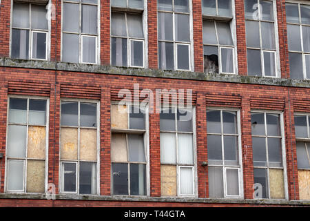 Baufälligen historischen Belper Cotton Mills benötigen dringend reparieren, Belper Derbyshire. England.DE Stockfoto