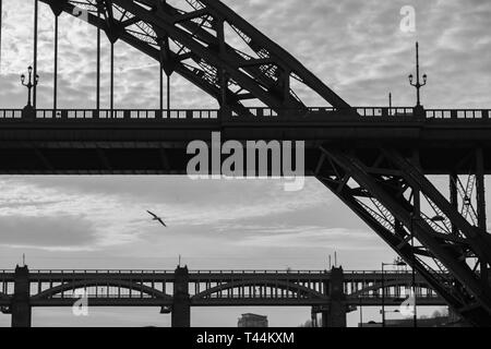 Silhouetten von einem Abschnitt der Tyne und Hohen Brücken und eine fliegende Möwe in Newcastle upon Tyne in Großbritannien Stockfoto