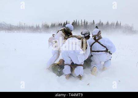 Fallschirmjäger mit 1St Squadron, 40th Cavalry Regiment (Airborne), 4 Infantry Brigade Combat Team (Airborne), 25 Infanterie Division, U.S. Army Alaska, Unordnung über ein mock Unfall aus dem Rotor zu schützen - Waschen von einem schwebenden Hubschrauber UH-60 Joint Base Elmendorf-Richardson, Feb 20, 2019. Medizinische platoon Der Squadron validiert Ihre Fähigkeit, medizinische Evakuierung auf UH-60 Plattformen, einschließlich der Verwendung von Hoist System des Hubschrauber zur Verfügung zu stellen. Stockfoto