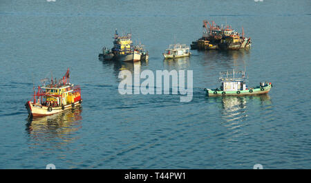 Bunte Fischerboote im Südchinesischen Meer, Kota Kinabalu, Sabah (Borneo), Malaysia Stockfoto