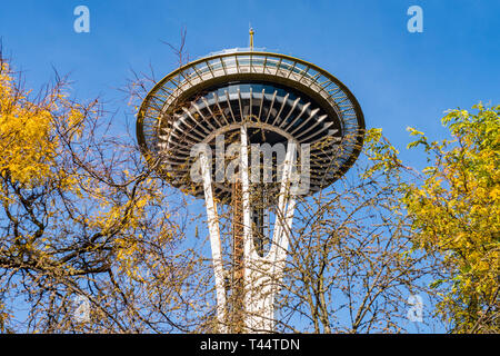 Die Space Needle zwischen den Ästen der Space Needle in Seattle gesehen Stockfoto