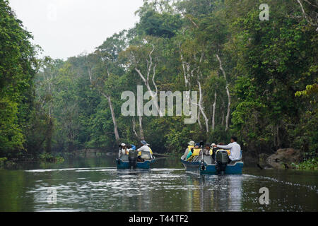 Ausflugsboote auf Sungai Menungal Nebenfluss des Kinabatangan River (Sungai Kinabatangan) in der Nähe von Sukau, Sabah (Borneo), Malaysia Stockfoto