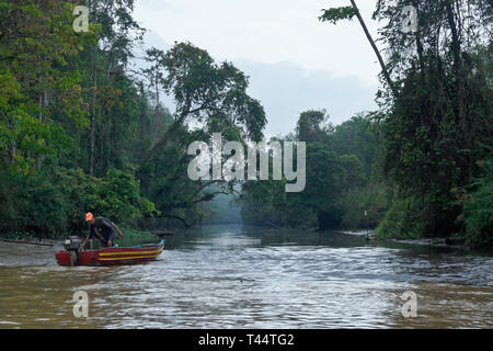 Boot auf Sungai Menungal Nebenfluss des Kinabatangan River (Sungai Kinabatangan) in der Nähe von Sukau, Sabah (Borneo), Malaysia Stockfoto