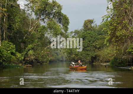 Boot auf Sungai Menungal Nebenfluss des Kinabatangan River (Sungai Kinabatangan) in der Nähe von Sukau, Sabah (Borneo), Malaysia Stockfoto