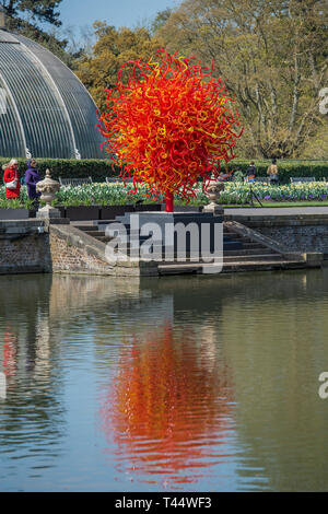 Sommer Sonne - Chihuly: Reflexionen über die Natur von Kew Gardens - Dale Chihuly Exponate sein leuchtendes Glas Kunstwerke, die Stücke nie zuvor in Großbritannien gesehen. Die Chihuly Skulpturen verwandeln die Gärten und Gewächshäuser in eine zeitgenössische Galerie im freien Raum. Stockfoto