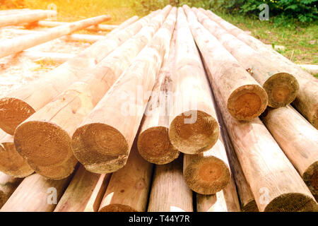 Gefällten Wald liegt in der Zeile festgelegt. Bäume sind unten geschnitten und gesägt Stockfoto