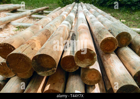 Protokollierung von Bäumen. Logs liegen in der Zeile vorbereitet Stockfoto