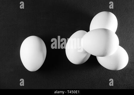 Weißes Huhn eggson schwarzen Hintergrund. top View Stockfoto