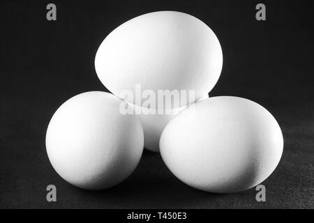 Weißes Huhn eggson schwarzer Hintergrund Stockfoto