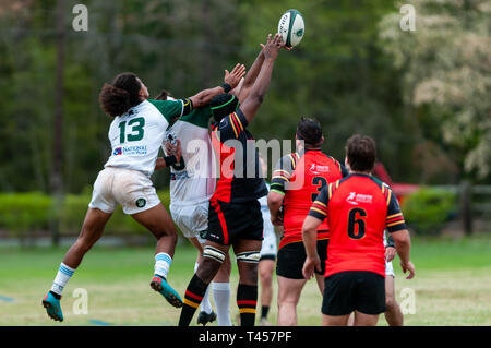Southern Pines, North Carolina, USA. 13 Apr, 2019. April 13, 2019 - Southern Pines, N.C., USA -. Herren Rugby Aktion zwischen den Southern Pines' große Kegel'' und Atlanta 'abtrünnigen'' in der ersten Runde der Carolinas geographische Rugby Union D 2 Endspiele an Twin Felder Bauernhof. Southern Pines besiegt Atlanta, 29-19 und die Atlanta" alte weiße '' nächste Woche Spielen in Atlanta. Credit: Timothy L. Hale/ZUMA Draht/Alamy leben Nachrichten Stockfoto