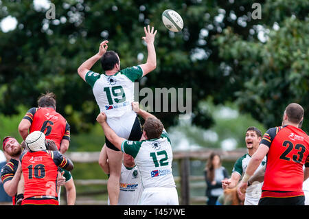 Southern Pines, North Carolina, USA. 13 Apr, 2019. April 13, 2019 - Southern Pines, N.C., USA -. Herren Rugby Aktion zwischen den Southern Pines' große Kegel'' und Atlanta 'abtrünnigen'' in der ersten Runde der Carolinas geographische Rugby Union D 2 Endspiele an Twin Felder Bauernhof. Southern Pines besiegt Atlanta, 29-19 und die Atlanta" alte weiße '' nächste Woche Spielen in Atlanta. Credit: Timothy L. Hale/ZUMA Draht/Alamy leben Nachrichten Stockfoto