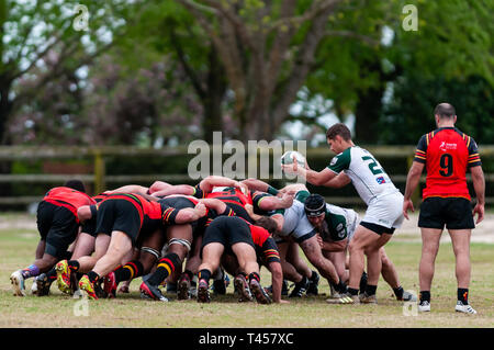 Southern Pines, North Carolina, USA. 13 Apr, 2019. April 13, 2019 - Southern Pines, N.C., USA -. Herren Rugby Aktion zwischen den Southern Pines' große Kegel'' und Atlanta 'abtrünnigen'' in der ersten Runde der Carolinas geographische Rugby Union D 2 Endspiele an Twin Felder Bauernhof. Southern Pines besiegt Atlanta, 29-19 und die Atlanta" alte weiße '' nächste Woche Spielen in Atlanta. Credit: Timothy L. Hale/ZUMA Draht/Alamy leben Nachrichten Stockfoto