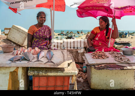 Horizontale Portrait von Damen Fisch im Marina Beach Fischmarkt in Chennai, Indien verkaufen. Stockfoto